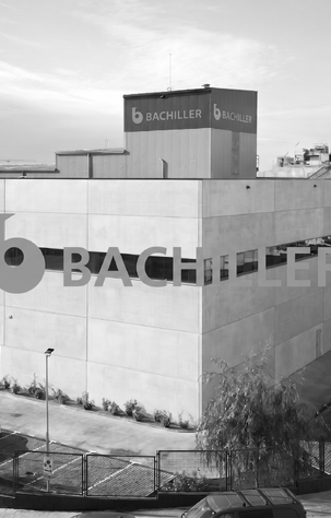 Bachiller